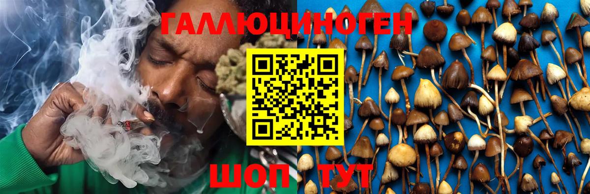 Холмск  Псилоцибиновые грибы Psilocybine cubensis  Псилоцибиновые грибы Cubensis  Вход с VPN 